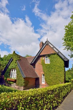 evde bitki ile kaplı