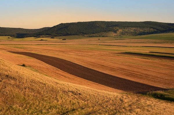 Blick Auf Gelbe Und Grüne Felder Macin Rumänien Sommer — Stockfoto