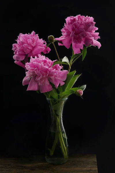 閉鎖ピンク牡丹の花黒の背景に花瓶に花束 — ストック写真