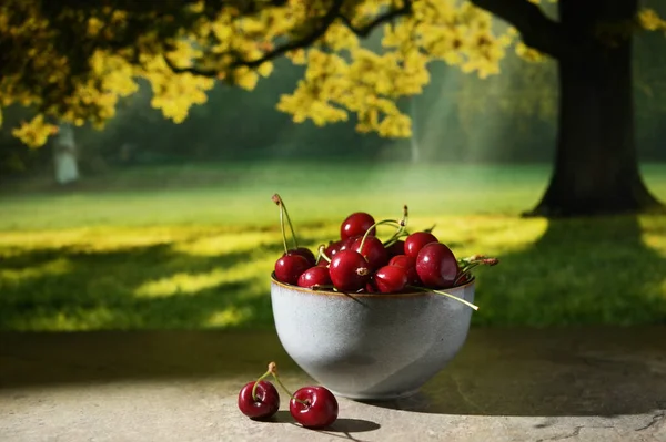 Cerise Fruits Dans Bol Isolé Avec Nature Contexte — Photo