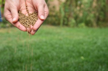 Closeup Farmer Hands Spreading Organic Universal Fertilizer