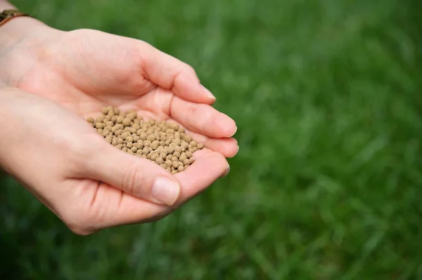 Closeup Farmer Hands Spreading Organic Universal Fertilizer — Stock Photo, Image