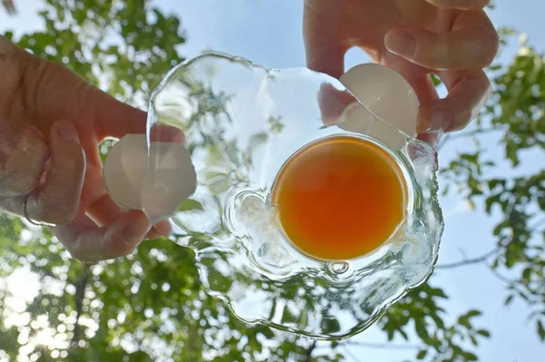 Abstrakt Kyckling Ägg Med Äggula Med Natur Bakgrund — Stockfoto