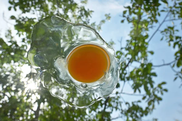 Abstrakt Kyckling Ägg Med Äggula Med Natur Bakgrund — Stockfoto