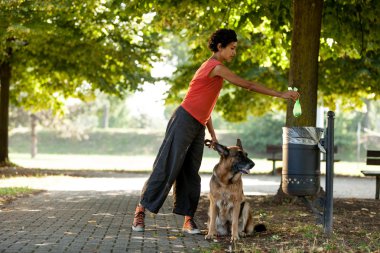 ortam temiz tutmak köpeklere atmadan tarafından poo