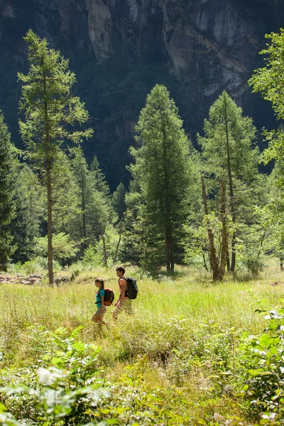 Coppia sta facendo trekking nel bosco — Foto Stock