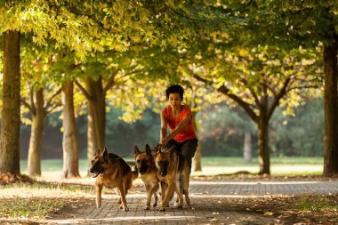 kadın oturuyor ile üç Alman çoban köpeği olduğunu