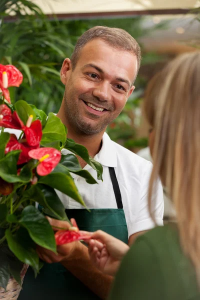 Florista está consultando um cliente — Fotografia de Stock