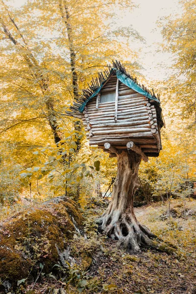 森の鶏の足で馬場ヤガの恐ろしい住居を連想させる神秘的でおとぎ話の木の家 — ストック写真