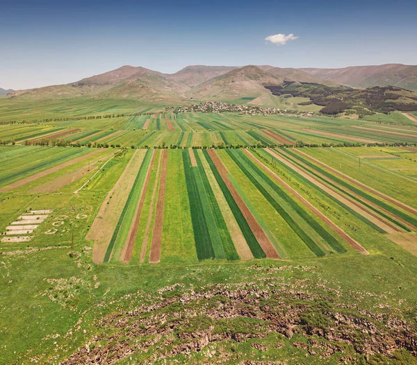 Panoramisch Uitzicht Groene Omgeploegde Landbouwvelden Landelijk Grond Landbouwbedrijfsconcept — Stockfoto