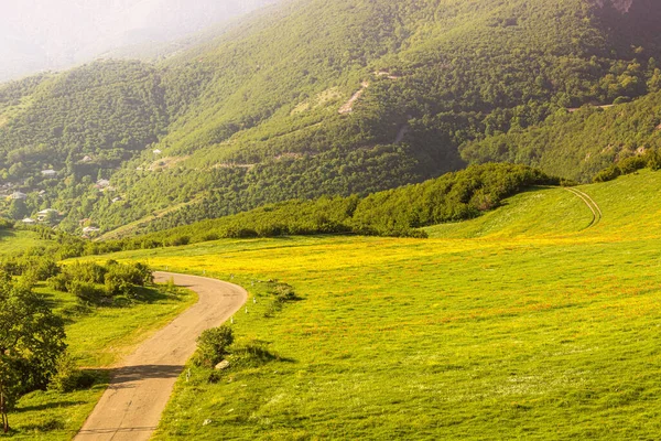 Uma Paisagem Pastoral Campo Uma Trilha Terra Prado Exuberante Com — Fotografia de Stock