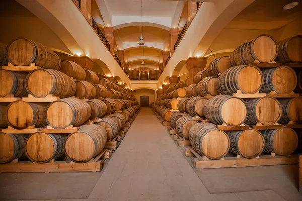 Sacco Vino Botti Legno Cognac Nel Seminterrato Della Cantina Processo — Foto Stock