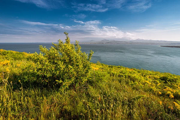 Ідилічний Ландшафт Лукою Знаменитим Озером Севан Одним Найбільших Джерел Прісної — стокове фото