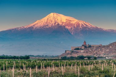Mount of Ararat 'ın eteğindeki verimli bir ovadaki üzüm bağları ve gün batımında arka planda ünlü Khor Virap manastırı.