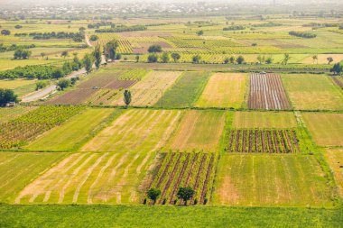 Çiftlikteki ekilmiş ve sürülmüş tarlalar. Sebze bahçelerinin cennet manzarasının havadan görünüşü