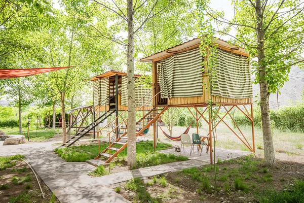 Camping Domkami Letniskowymi Letnim Lesie Koncepcja Rekreacji Świeżym Powietrzu — Zdjęcie stockowe