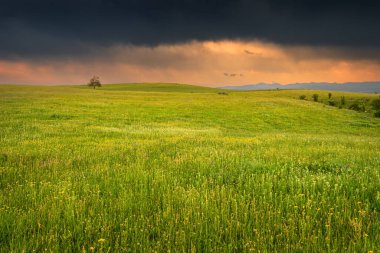 Tarımsal bir alanda yaklaşan bir fırtına. Ruh hali ve hava durumu kavramları