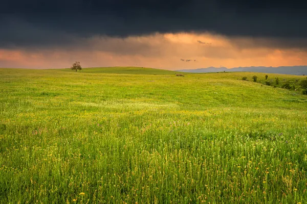 Ein Herannahendes Gewitter Auf Einem Landwirtschaftlichen Feld Stimmungs Und Wetterkonzepte — Stockfoto