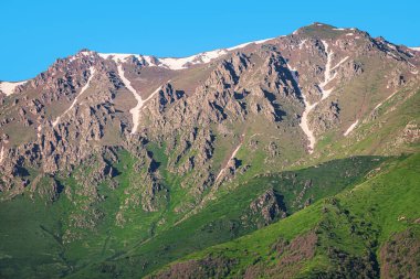 Yüksek dağlarda huzurlu ve sakin bir manzara. İlkbahar sulu otlar ve karlı bir sırt.