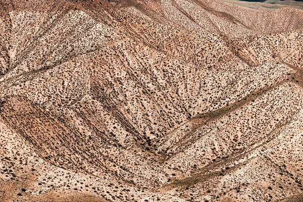 Paisagem Deserto Com Montanhas Dobradas Com Arbustos Esparsos País Asiático — Fotografia de Stock