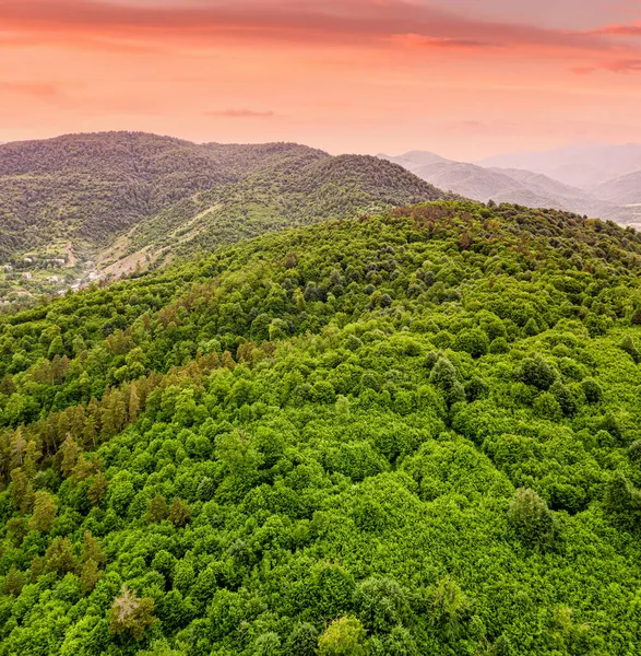 Légi Kilátás Hegyi Völgyre Sűrű Erdőkkel Ökoszisztéma Bolygó Fogalmának Tüdeje — Stock Fotó
