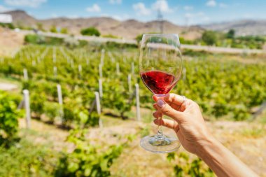 Üzüm bağlarının arka planında bir kadeh kırmızı şarap. İyi bir yılda hasat kavramı. Doğada tatmak.