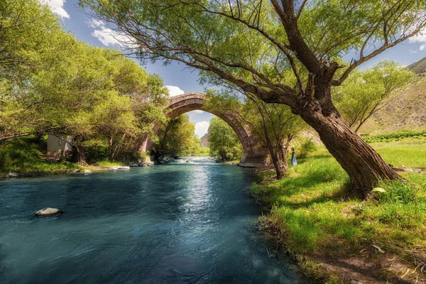 Antiguo Puente Piedra Sobre Río Azul Bosque Fondo Cuento Hadas — Foto de Stock