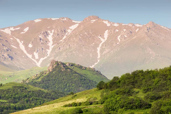 春のジューシーな草と雪の尾根の高い山の中で平和で静かな風景 — ストック写真