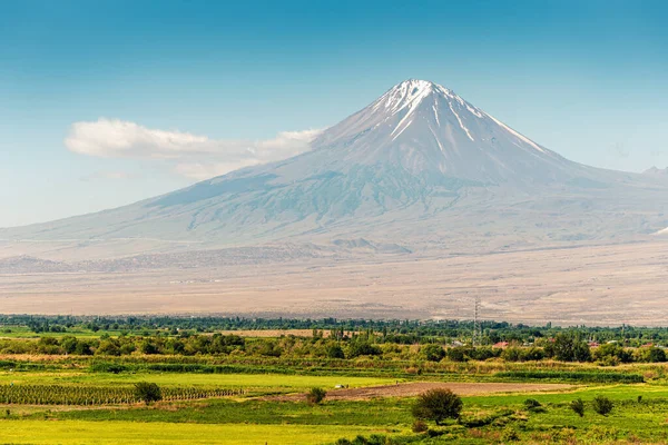 Csúcs Kisebb Ararat Hegy Mezőgazdasági Terület Előtérben Utazás Természet Örményországban — Stock Fotó