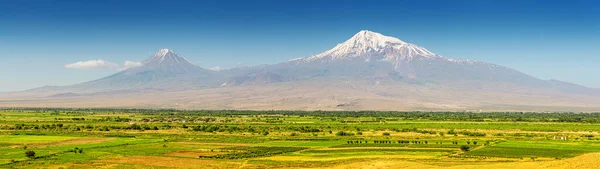 Panoráma Ararat Hegy Termőföld Völgyben Utazás Természet Háttere Örményországban — Stock Fotó