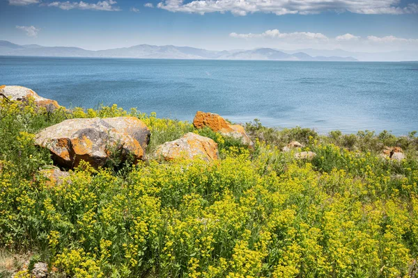 Ідилічний Ландшафт Мальовничими Оранжевими Скелями Знаменитим Озером Севан Одним Найбільших — стокове фото
