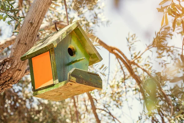 木の鳥小屋がオリーブの木にかかっている 春の野鳥や野鳥観察 — ストック写真