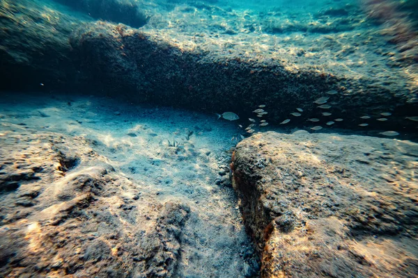 Deserted Fascinating Underwater Landscape Large Rocks Reflections Setting Sun Small — Stock Photo, Image