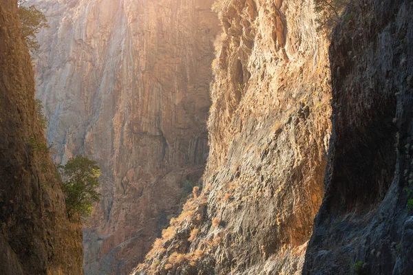 Sunlight Reflects Sheer Cliffs Saklikent Canyon Turkey — 图库照片