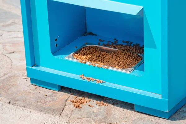 Alimentador Automático Para Cães Gatos Vadios Livre Rua Cidade Pequenas — Fotografia de Stock