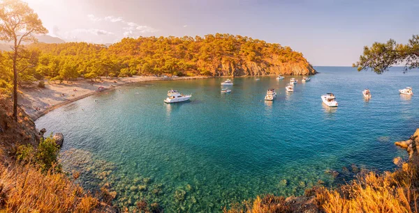 Panoramic Seascape Paradise Bay Middle Pine Forest Many Yachts Boats — Stockfoto