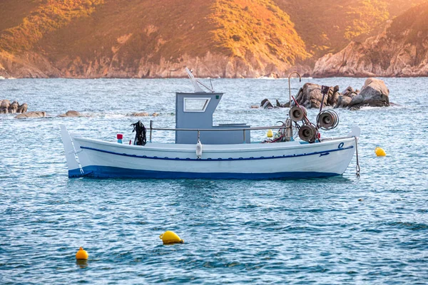 Pequeña Embarcación Profesional Pesca Motor Bahía Perfil Sector Cría Mariscos — Foto de Stock