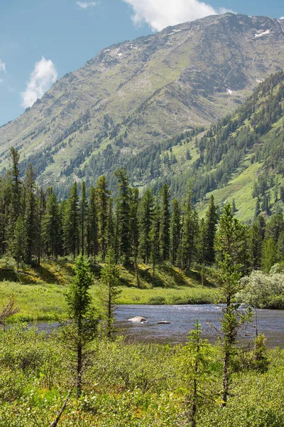 Vista Panorámica Naturaleza Salvaje Del Norte Con Bosques Coníferas Río — Foto de Stock