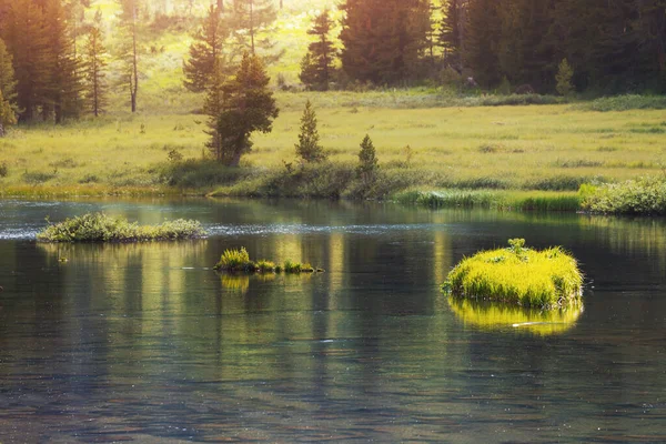 Sjön Eller Floden Nationalparken Bra Ställe För Fiske Och Vandring — Stockfoto