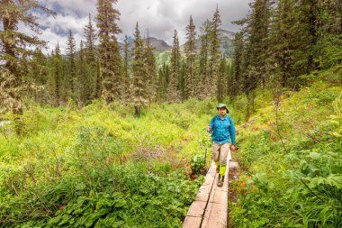 Bir erkek yürüyüşçü ulusal parktaki toprak ekosistemini korumak için ahşap bir güvertede yürüyor.