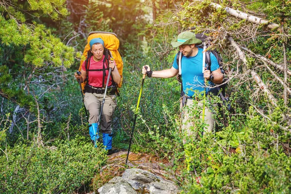 Happy couple travelers with trekking poles and a large backpack walks along a trail in a national park among dense forest