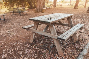 İnsanların doğa parkında ya da kampta dinlenebilmesi için masa ve banklar.