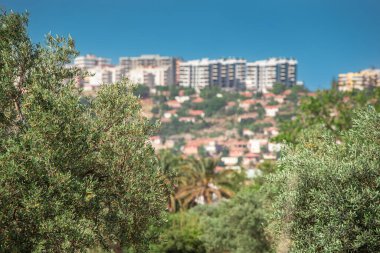 Antalya 'nın Varsak ilçesi, yeşil akciğerli şehir parkı manzaralı. Çevre ve Mahalle