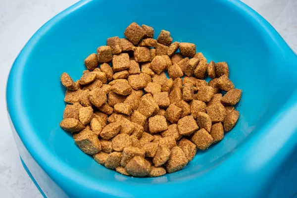 Uma Tigela Comida Gato Cão Conceito Ingredientes Saudáveis Uma Dieta — Fotografia de Stock