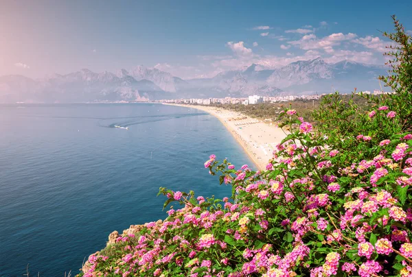 Flores Florescendo Com Famosa Praia Konyaalti Fundo Vista Panorâmica Cênica — Fotografia de Stock