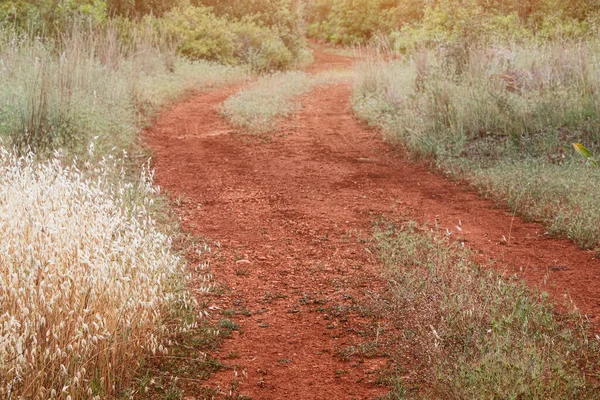 Red clay dirt country road, usual in africa. Travel and nature concept