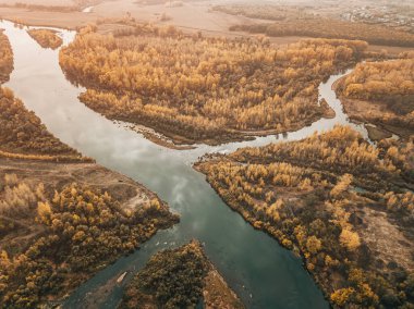 Bataklık ve bataklıktaki kanalların ve derelerin havadan görüntüsü. Balıkçılık ve çevre kavramı