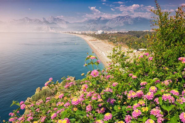 Flowers Blooming Famous Konyaalti Beach Background Travel Destinations Turkey Antalya — Stockfoto