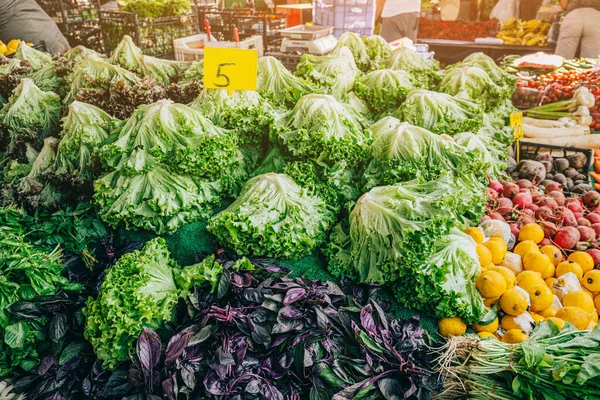 Numerous vegetables and herbs for sale on the counter of a farmer with an organic eco harvest on the local market