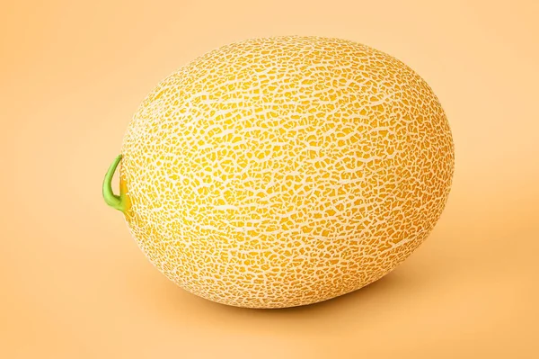 One colorful melon on a yellow background. Juicy and healthy fruit. Natural bio food to improve digestion and kidney function.